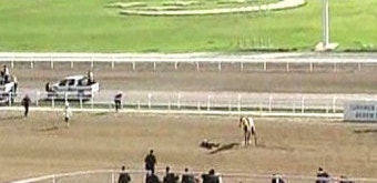 경주마 타다가 '쿵'…투르크 대통령의 굴욕