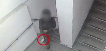 대낮 흉기 들고 학교 침입해 여고생 납치