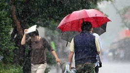 [취재파일] 3호 태풍 야기 북상…태풍의 계절 돌아왔다