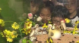 [수도권] 오산 물향기수목원에서 곤충전시회