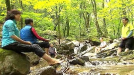 숲에서 스트레스 날려요!…산림치유 인기
