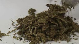검찰, 재벌가 2·3세 대마초 흡연 혐의 무더기 적발
