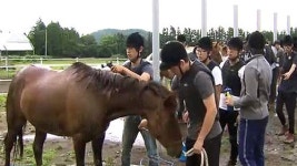 [제주] 서귀포산업과학고, 말산업 인재 양성기지 구축
