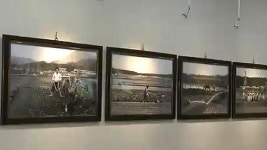 [수도권] 농업역사 한눈에 농업테마공원 개장