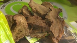 6천 원짜리 약재가 600만 원? 노인 등쳤다