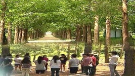 산림 체험 프로그램…숲 속에서 힐링해요