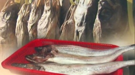 日 방사능 파장, 러시아산 명태에도 불똥