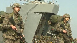[제주] 소나무 고사목 제거 위해 해병대 투입