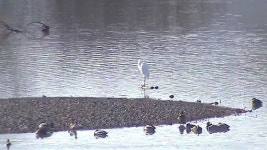 [부산] 우포늪, 생태관광지역 첫 대상지 선정