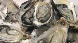 제철 맞은 굴, 안심하고 먹으려면?…수출 재개