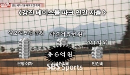 강진 베이스볼파크 도산 위기