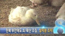 오늘의 주요뉴스