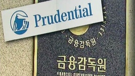 본사 요청에…외국계 보험사도 개인정보 노출
