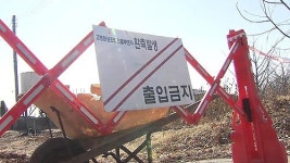 AI 재발시 보상금 삭감…농가 책임 미루나