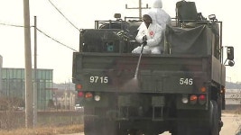 AI 평택·천안 농가 고병원성 확진…음성 예의주시