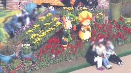 흐드러지게 핀 매화…남녘은 봄꽃 축제
