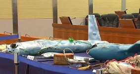 정부 