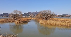 AI로 출입통제 창원 주남저수지 5월 1일 재개방