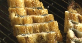 최고급 한우보다 비싸다…금값된 민물 장어