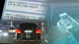 서울택시, 우버 운전자 운수사업법 위반으로 고발