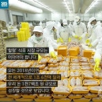 할랄에스키샤하르(HALAL ESKISHAHAR) | [카드뉴스] 무슬림의 먹거리, '할랄'을 아시나요?