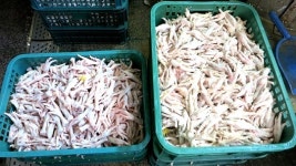 [현장 포토] 개 사료용 닭발 식용으로 속인 판매업자 덜미