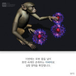 [SDF 2015] 생각만으로 로봇을 조종할 수 있을까?