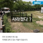 [스브스뉴스]중동 구경도 못 해봤는데… 애꿎은 낙타 수난시대