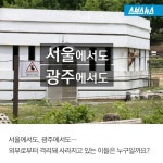[스브스뉴스]중동 구경도 못 해봤는데… 애꿎은 낙타 수난시대