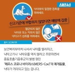 [스브스뉴스]중동 구경도 못 해봤는데… 애꿎은 낙타 수난시대