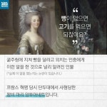 [카드뉴스] 사형 기다리던 앙투아네트, 백발 된 사연은?