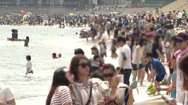 해수욕장 범죄…폭행·절도 '대천', 성범죄 '해운대' 최다