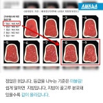 [스브스뉴스]한국 1++급 쇠고기 미국서는 찬밥…등급제의 모순