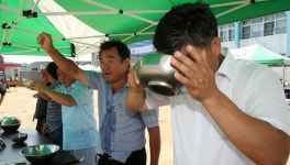 최전방 황무지 48년간 일군 대마리 주민들 마을잔치