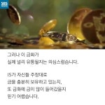 [카드뉴스] 피 묻은 금화