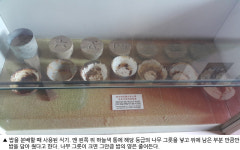 [취재파일] 광복 70년, 영웅 도마를 만나다