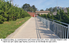 [취재파일] 광복 70년, 영웅 도마를 만나다