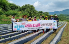 하동군, 겨울철 취약계층 김장 나눔용 배추 파종