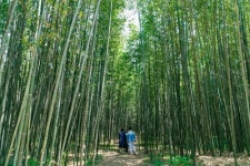 익산 둘레길, 3개 대표코스로 거듭나다