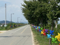 세종특별자치시, 연서면에 바람개비 산책길 조성