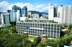 연제구, 플라워데코아트 자격증 과정 운영