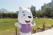 양천구, 가을철 광견병 예방접종 실시