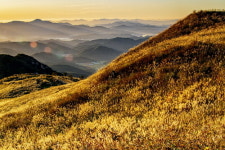 합천 황매산 은빛 억새, 가을바람에 일렁이다