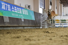 제7회 스포츠말 품평회, 제주 한라대학교 목장에서 성료