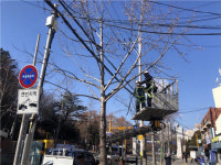 연제구, 생활 속 위험수목 처리 지원