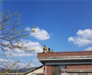 곡성군, 2022 지적재조사사업 측량 실시