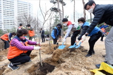 부평구, 제77회 식목일 나무 심기 행사 진행