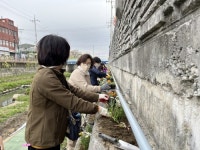 부산 사상구 삼락동, 봄맞이 초화식재 및 환경정비 실시