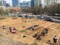 마포구, 도시 농부 육성 위한 도시농업지원센터 운영