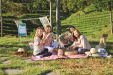 보성차 식품원 | 보성세계차엑스포, 보성으로 떠나는 차밭 피크닉